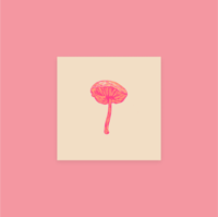 Image 2 of Shiitakes Mushroom