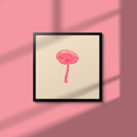 Image 4 of Shiitakes Mushroom
