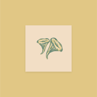 Image 3 of Chanterelle Mushroom 