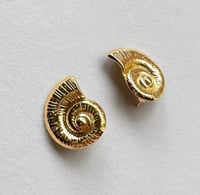 Image 2 of Nautilus Snail Stud Earrings