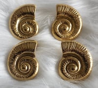 Image 1 of Nautilus Snail Stud Earrings
