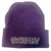 FLYING LOW ELI BEANIE PURPLE GREEN