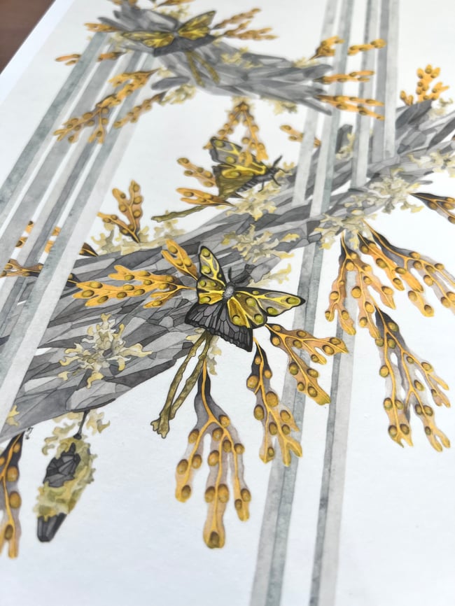 Adaptation 1 - Medium Print