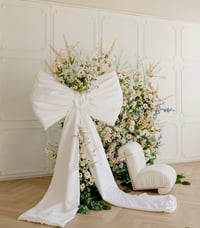 Image 2 of Spring minis ~ April 5th