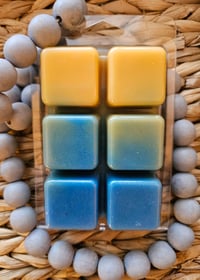 Image 3 of Caspian Sea - A Rockytop Wax Works exclusive custom houseblend fragrance 