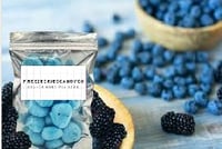 Freeze Dried Blue Raspberry Variety Pack