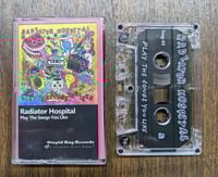 Image 2 of Radiator Hospital "Play the Songs You Like" cass