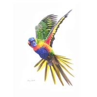 Image 1 of "Rainbow in Flight" - Rainbow Lorikeet Print