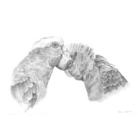 Image 1 of "Lifelong Bond" - Galah Pair in Graphite Print