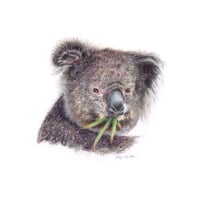 Image 1 of "Eucalyptus Feast" - Koala with Leaves Print