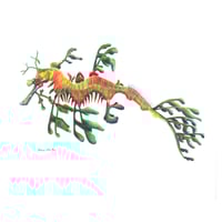 Image 1 of "Ocean Masquerade" - Leafy Sea Dragon Print