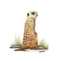 Image 1 of "Watchful Guardian" - Meerkat Print