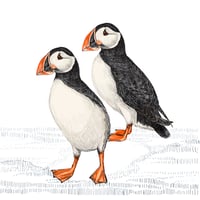 Image 3 of PUFFIN Blank Card