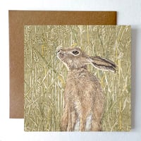 Image 1 of HARVEST HARE