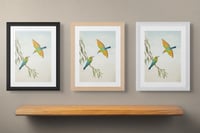 Image 3 of Rainbow Bee Eater Couple 