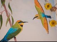 Image 2 of Rainbow Bee Eater Couple 