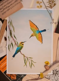 Image 1 of Rainbow Bee Eater Couple 