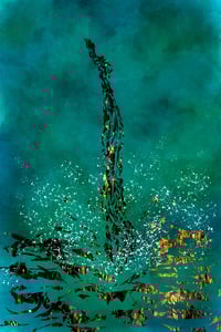 Image 1 of The Dive 25