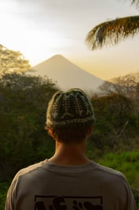 Image 3 of Something Fishy Beanie Green