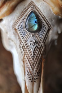 Image 3 of Teschio di Muflone -Iris e Labradorite-
