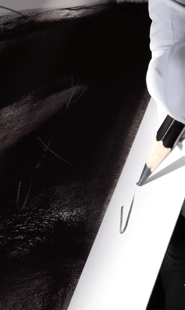 Image of Untitled#D2437