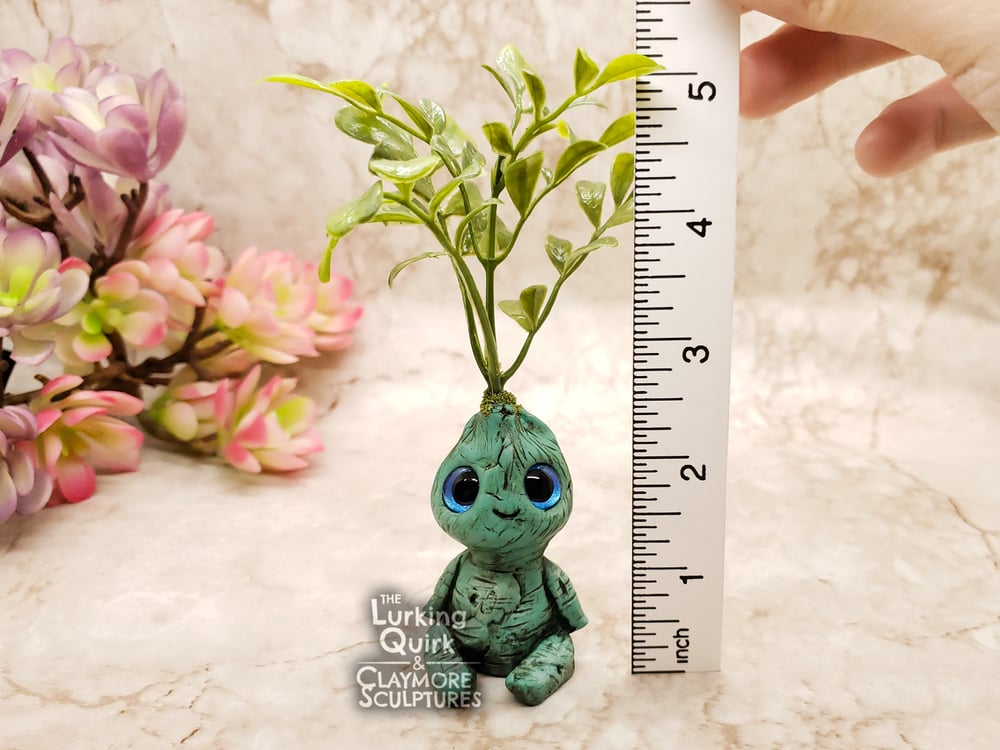 Small Plant Sprite - Small Round Leaf