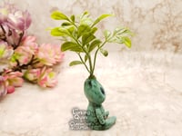 Image 2 of Small Plant Sprite - Small Round Leaf