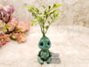 Small Plant Sprite - Small Round Leaf