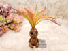 Small Plant Sprite - Autumnal Fern