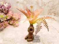 Image 2 of Small Plant Sprite - Autumnal Fern
