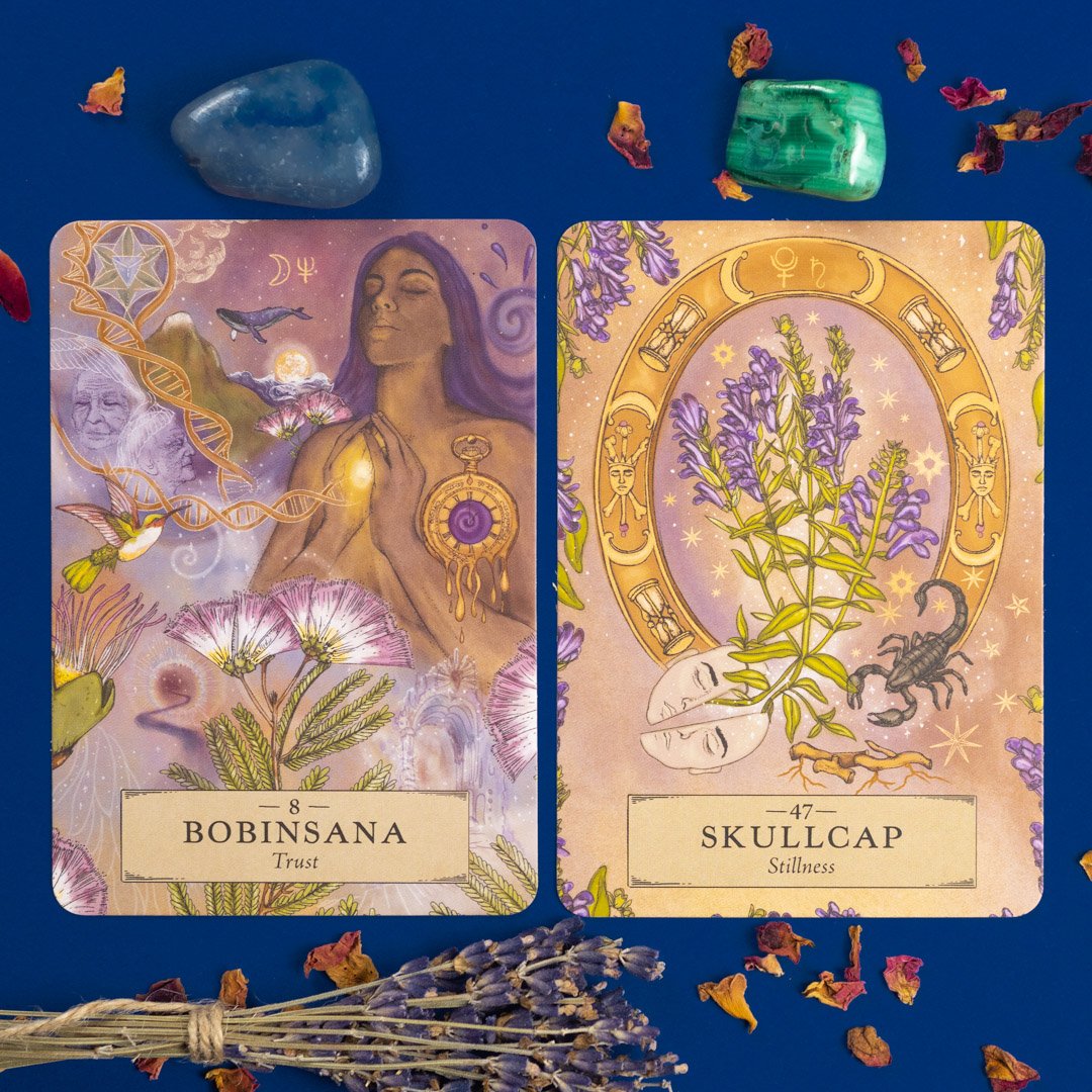 The Herbal Astrology Oracle Card Deck | The Moon Cave