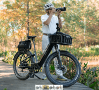 Image 2 of Stellar Falcon Step-Thru E-bike