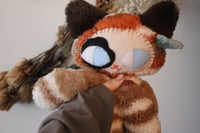 Image 3 of Kokomi Calico 🐾