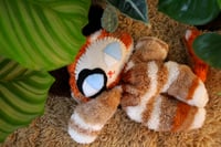 Image 1 of Kokomi Calico 🐾