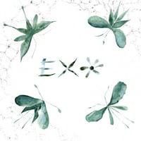 EXO - S/T LP