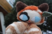 Image 5 of Kokomi Calico 🐾