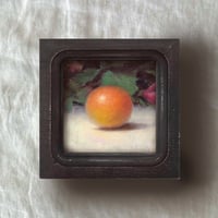 Image 3 of Orange Study
