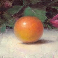 Image 2 of Orange Study