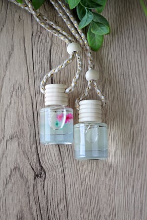 Image of Mini Car Diffusers