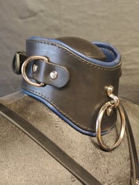 Image 2 of Padded Posture Collar