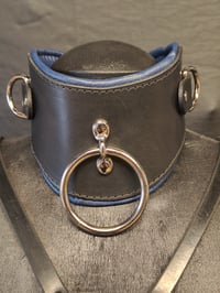 Image 1 of Padded Posture Collar