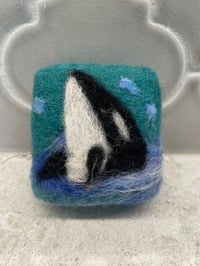 Image 1 of Orca/shell