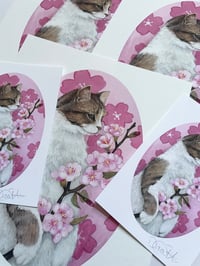Image 1 of Spring Kitty Print