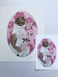 Image 3 of Spring Kitty Print