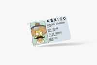 Image 1 of Homer san