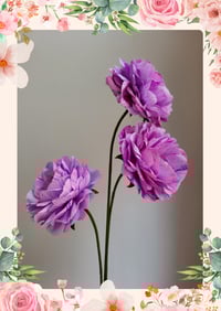 Image 2 of Open Ranunculus Tutorial