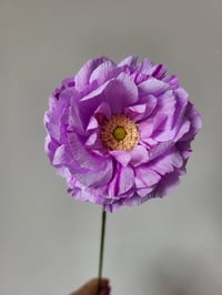 Image 4 of Open Ranunculus Tutorial