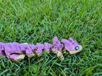Image 5 of Atria Dragon