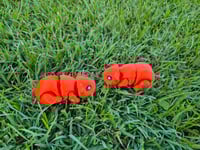 Image 7 of Guinea Pigs