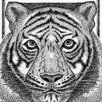 Image 2 of Tiger shirt